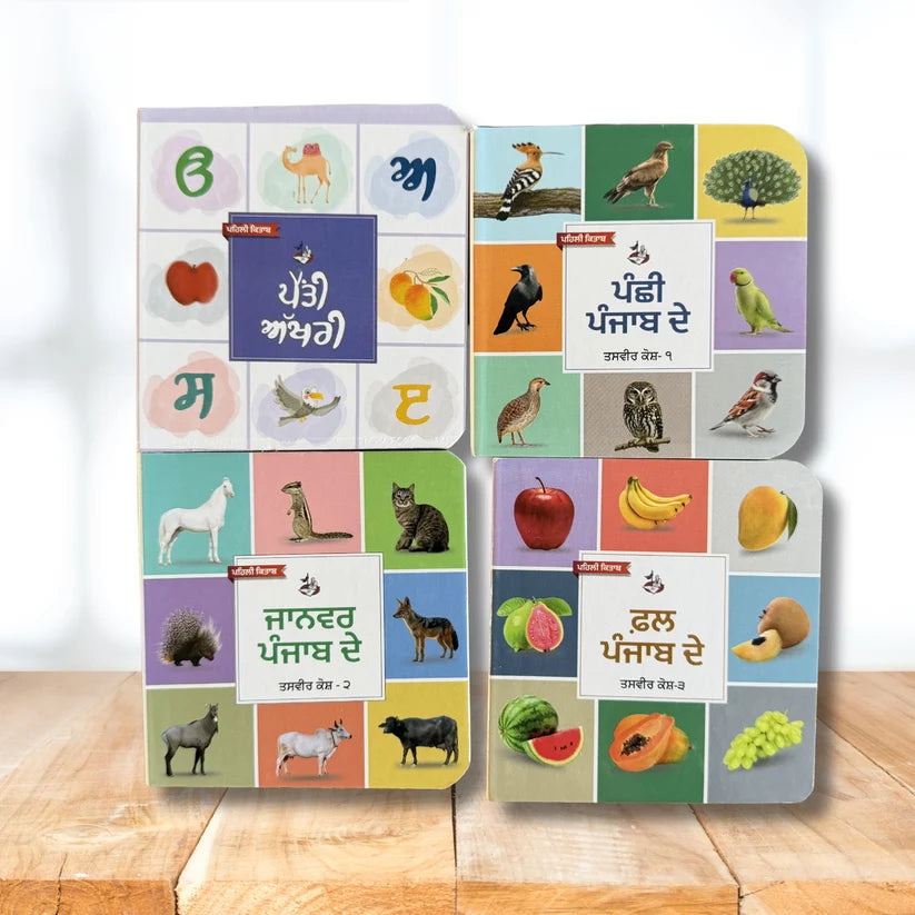 My First Punjabi Card Books Set for Children (10 books) in one set