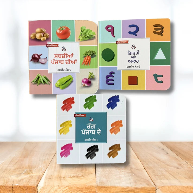 My First Punjabi Card Books Set for Children (10 books) in one set