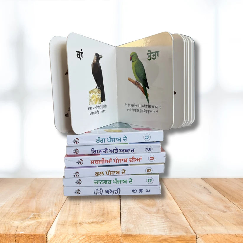 My First Punjabi Card Books Set for Children (10 books) in one set