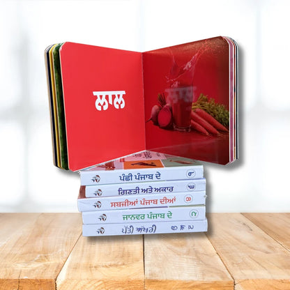 My First Punjabi Card Books Set for Children (10 books) in one set