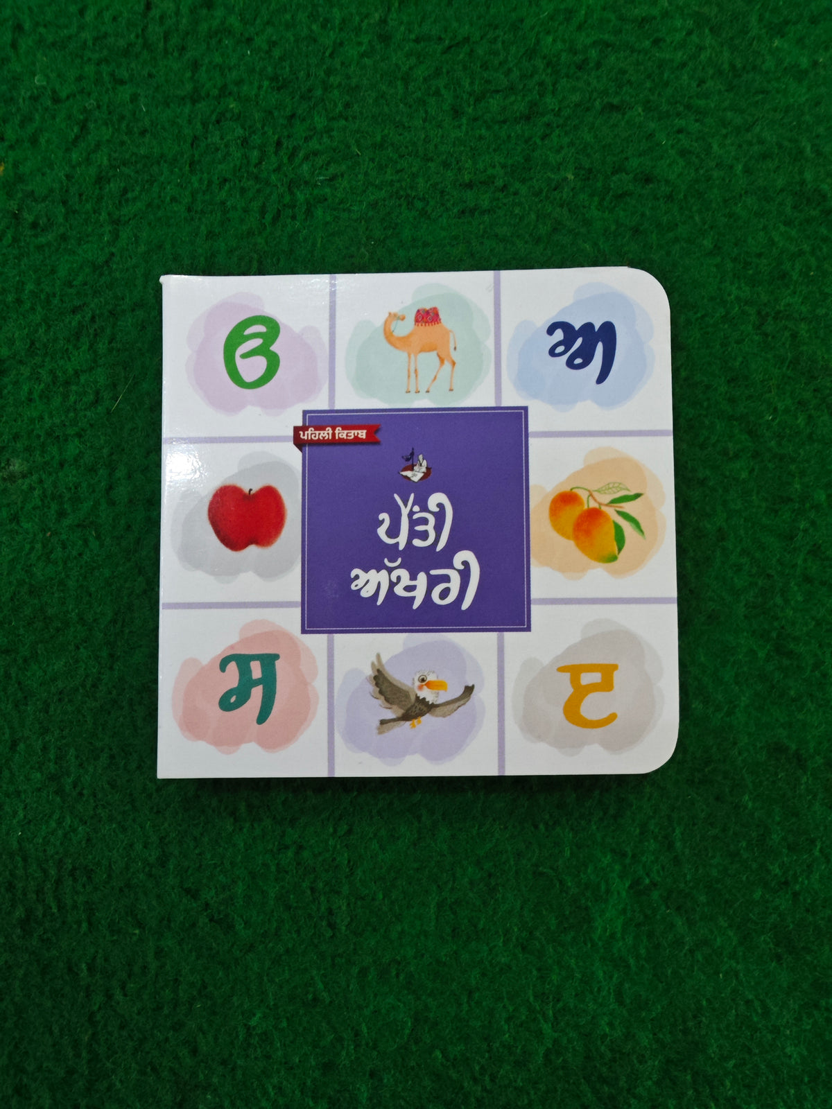My First Punjabi Card Books Set for Children (10 books) in one set