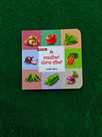 My First Punjabi Card Books Set for Children (10 books) in one set