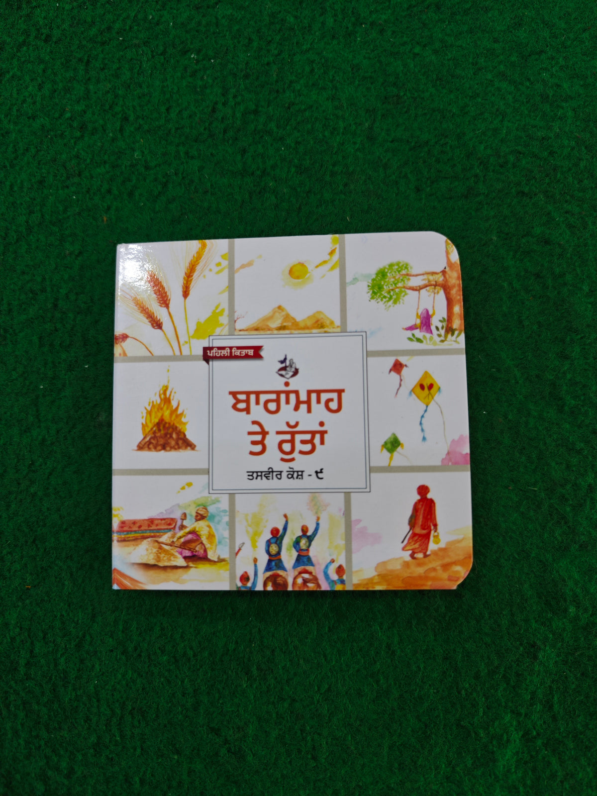 My First Punjabi Card Books Set for Children (10 books) in one set