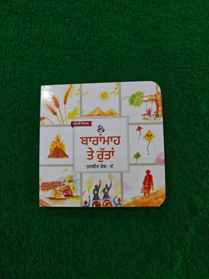 My First Punjabi Card Books Set for Children (10 books) in one set