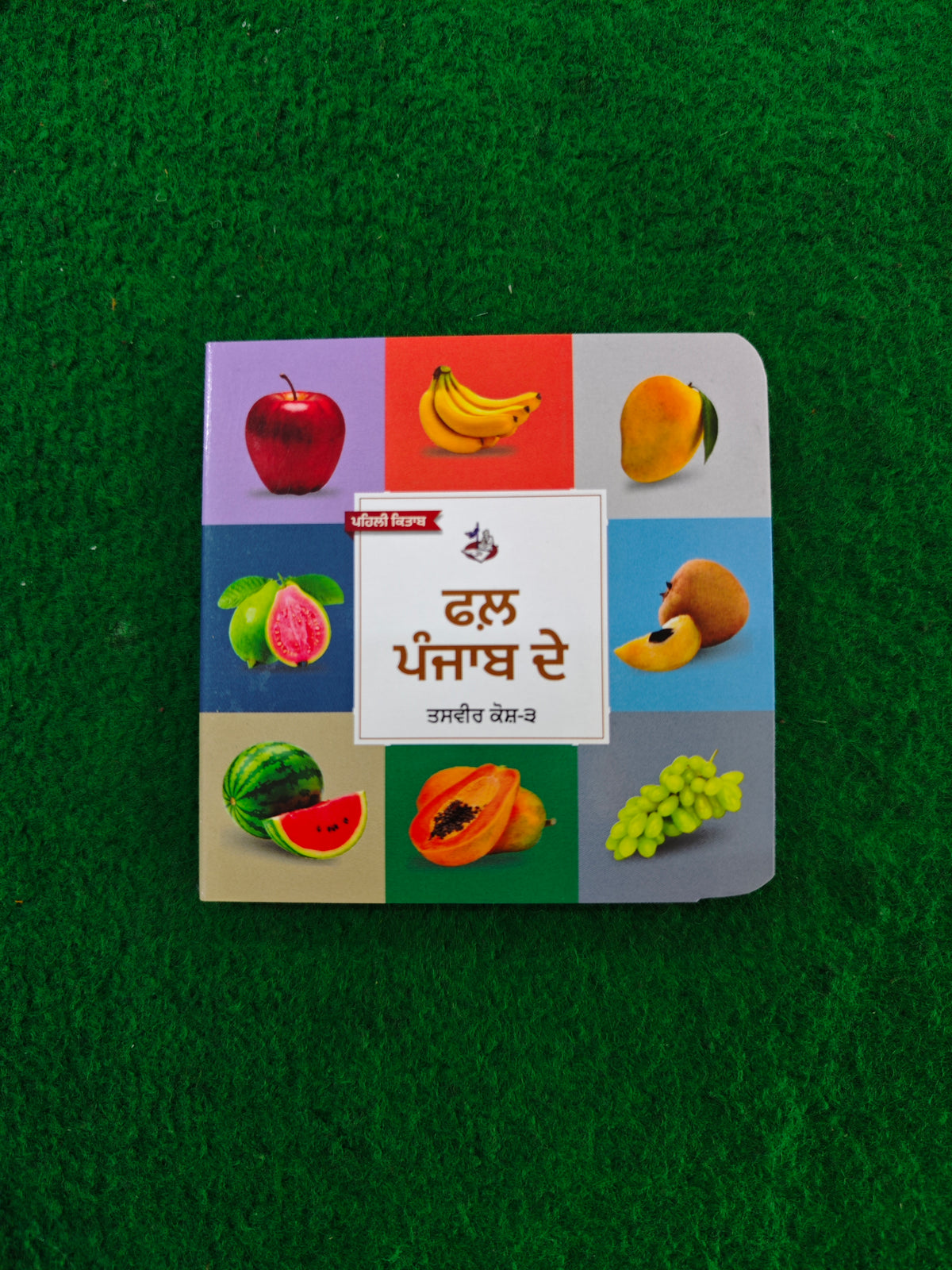 My First Punjabi Card Books Set for Children (10 books) in one set