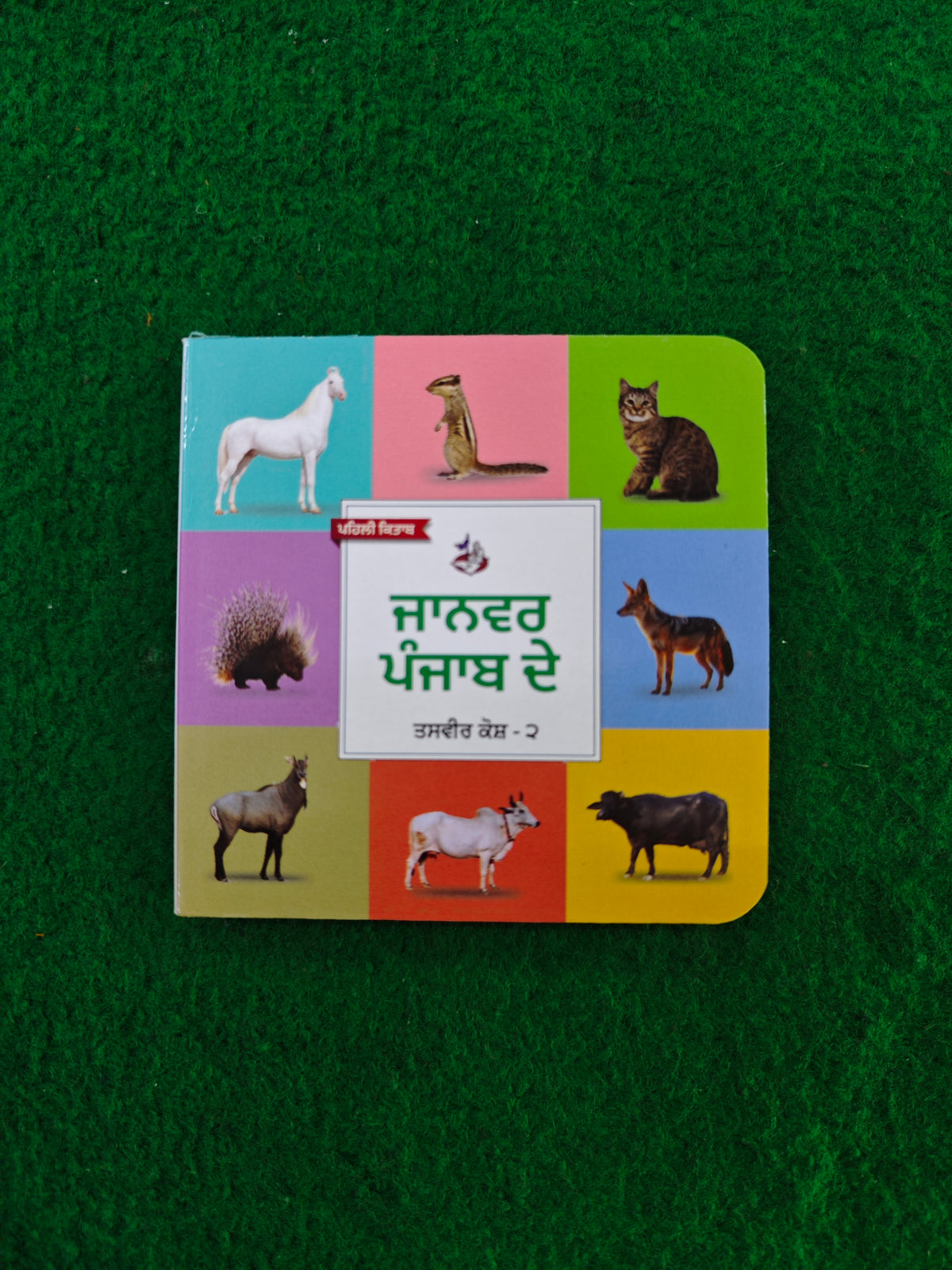 My First Punjabi Card Books Set for Children (10 books) in one set