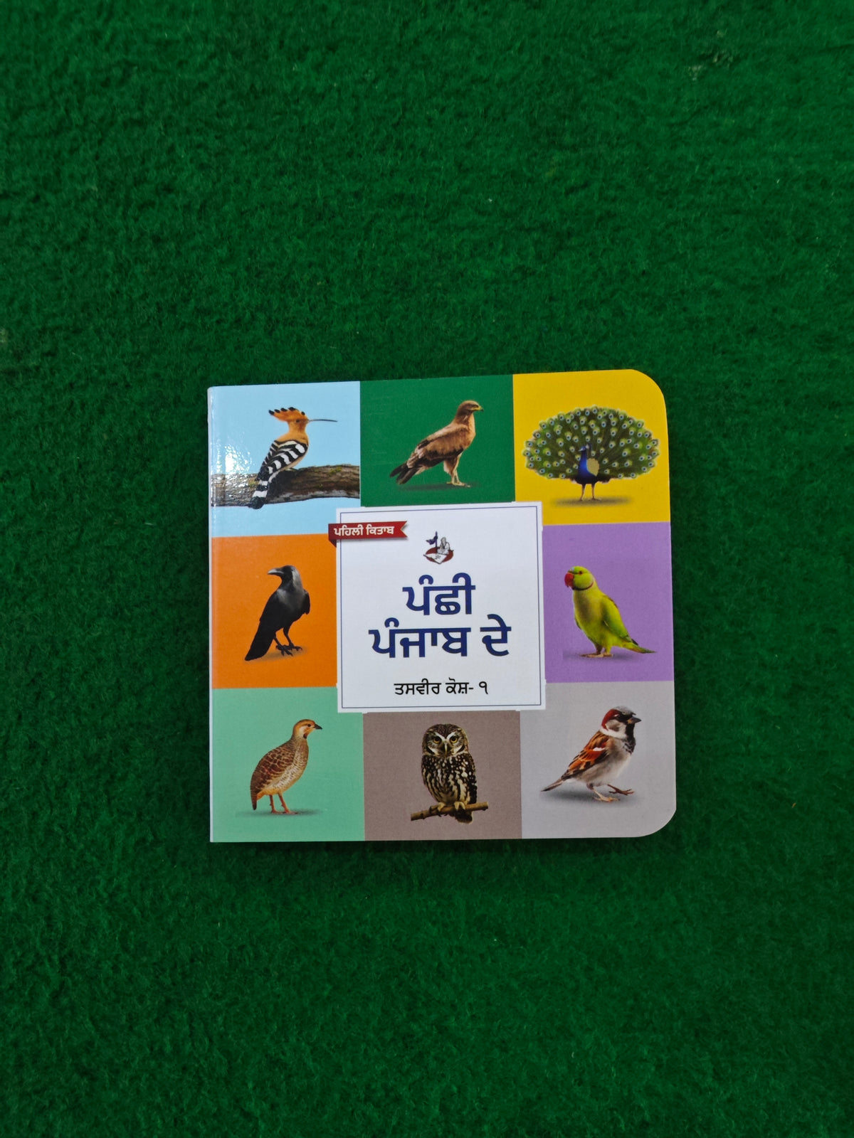 My First Punjabi Card Books Set for Children (10 books) in one set